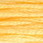 DMC Stranded Cotton: 8m: Skein 19