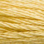 DMC Stranded Cotton: 8m: Skein 3822
