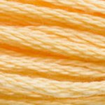 DMC Stranded Cotton: 8m: Skein 3855