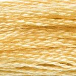 DMC Stranded Cotton: 8m: Skein 676