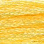DMC Stranded Cotton: 8m: Skein 744