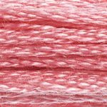 DMC Stranded Cotton: 8m: Skein 899