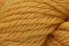 Anchor Tapisserie Wool: 10m: Skein 8042