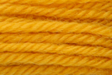 Anchor Tapisserie Wool: 10m: Skein 8020