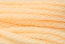 Anchor Tapisserie Wool: 10m: Skein 8036