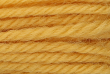 Anchor Tapisserie Wool: 10m: Skein 8040