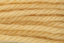 Anchor Tapisserie Wool: 10m: Skein 8054