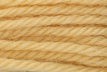 Anchor Tapisserie Wool: 10m: Skein 8054