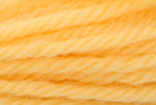 Anchor Tapisserie Wool: 10m: Skein 8056