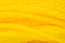 Anchor Tapisserie Wool: 10m: Skein 8096
