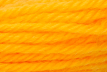 Anchor Tapisserie Wool: 10m: Skein 8120