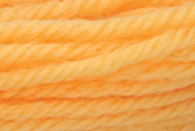 Anchor Tapisserie Wool: 10m: Skein 8134