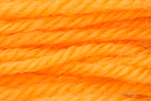 Anchor Tapisserie Wool: 10m: Skein 8138