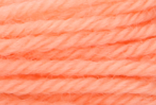 Anchor Tapisserie Wool: 10m: Skein 8254