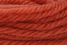 Anchor Tapisserie Wool: 10m: Skein 8262