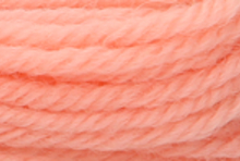 Anchor Tapisserie Wool: 10m: Skein 8344