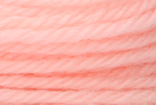 Anchor Tapisserie Wool: 10m: Skein 8392