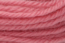 Anchor Tapisserie Wool: 10m: Skein 8414