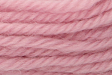 Anchor Tapisserie Wool: 10m: Skein 8522
