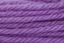 Anchor Tapisserie Wool: 10m: Skein 8592