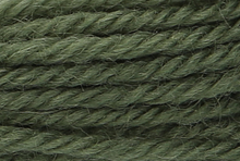 Anchor Tapisserie Wool: 10m: Skein 9080