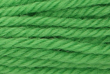 Anchor Tapisserie Wool: 10m: Skein 9116