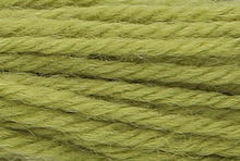 Anchor Tapisserie Wool: 10m: Skein 9164