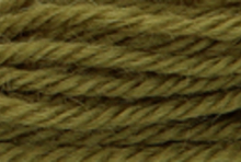 Anchor Tapisserie Wool: 10m: Skein 9174