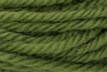 Anchor Tapisserie Wool: 10m: Skein 9176