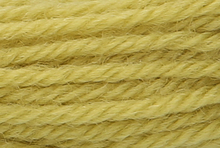 Anchor Tapisserie Wool: 10m: Skein 9194