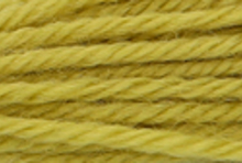 Anchor Tapisserie Wool: 10m: Skein 9196