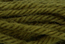 Anchor Tapisserie Wool: 10m: Skein 9204