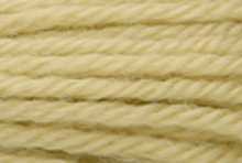Anchor Tapisserie Wool: 10m: Skein 9256