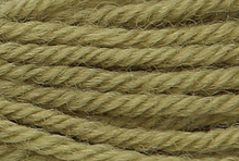 Anchor Tapisserie Wool: 10m: Skein 9260