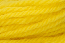 Anchor Tapisserie Wool: 10m: Skein 9282