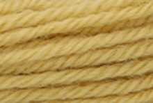 Anchor Tapisserie Wool: 10m: Skein 9304