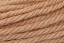 Anchor Tapisserie Wool: 10m: Skein 9364