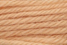 Anchor Tapisserie Wool: 10m: Skein 9422