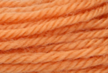 Anchor Tapisserie Wool: 10m: Skein 9446