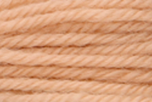 Anchor Tapisserie Wool: 10m: Skein 9486