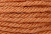Anchor Tapisserie Wool: 10m: Skein 9490