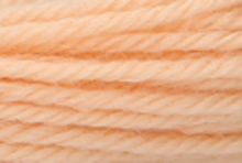 Anchor Tapisserie Wool: 10m: Skein 9504