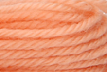 Anchor Tapisserie Wool: 10m: Skein 9506