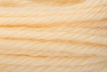 Anchor Tapisserie Wool: 10m: Skein 9522