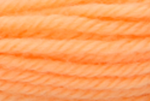 Anchor Tapisserie Wool: 10m: Skein 9532