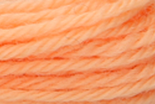 Anchor Tapisserie Wool: 10m: Skein 9552