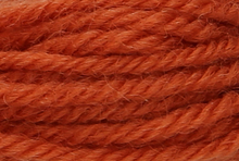 Anchor Tapisserie Wool: 10m: Skein 9560