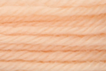 Anchor Tapisserie Wool: 10m: Skein 9592