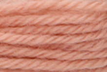 Anchor Tapisserie Wool: 10m: Skein 9596