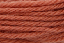 Anchor Tapisserie Wool: 10m: Skein 9598